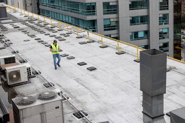 Best Roof Leak Repair  in Canby, MN