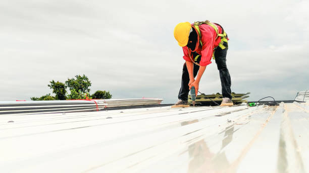 Best Roof Coating and Sealing  in Canby, MN