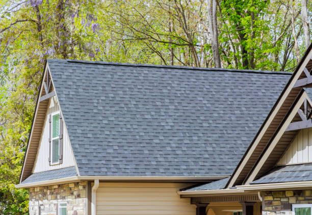 Best Solar Panel Roofing Installation  in Canby, MN